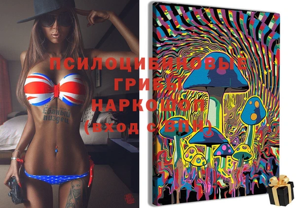 эйфоретик Абинск