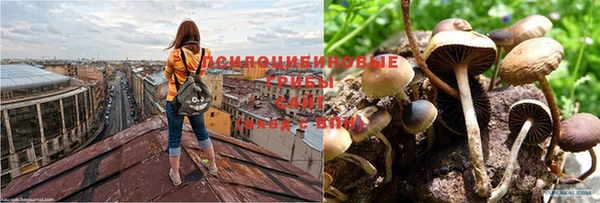 mdpv Остров
