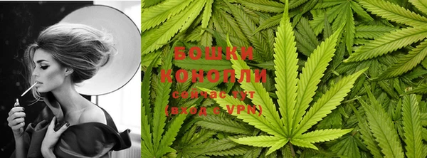 mdpv Остров